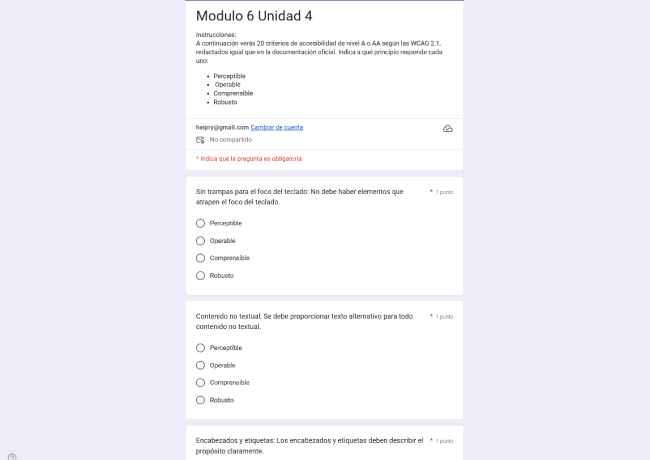 Google Form Criterios WCAG